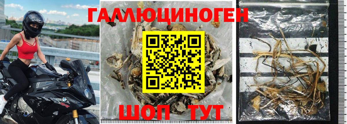 Галлюциногенные грибы прущие грибы  Галлюциногенные грибы мицелий  Вход с VPN  Истра 