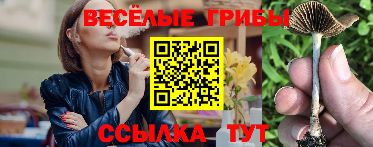 A PVP Истра